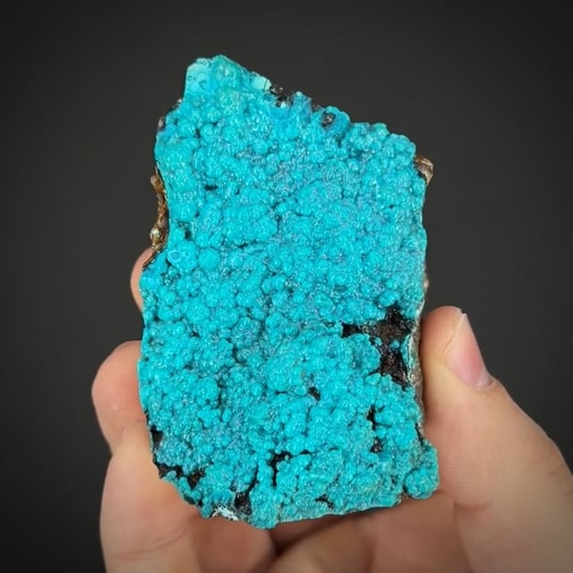 Chrysocolla (New Find - classic locale)