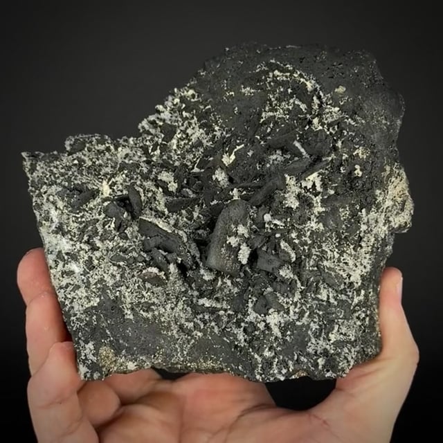 Tennantite ps. Enargite (historic and unusually large)