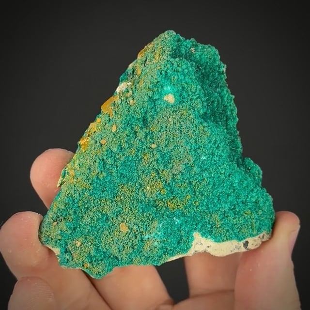 Dioptase with Wulfenite and Mimetite (classic locale)