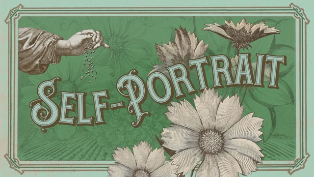 Header Graphic