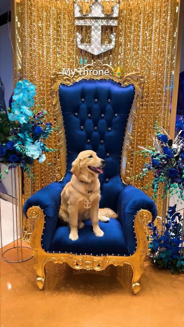 Royal Caribbean video 3