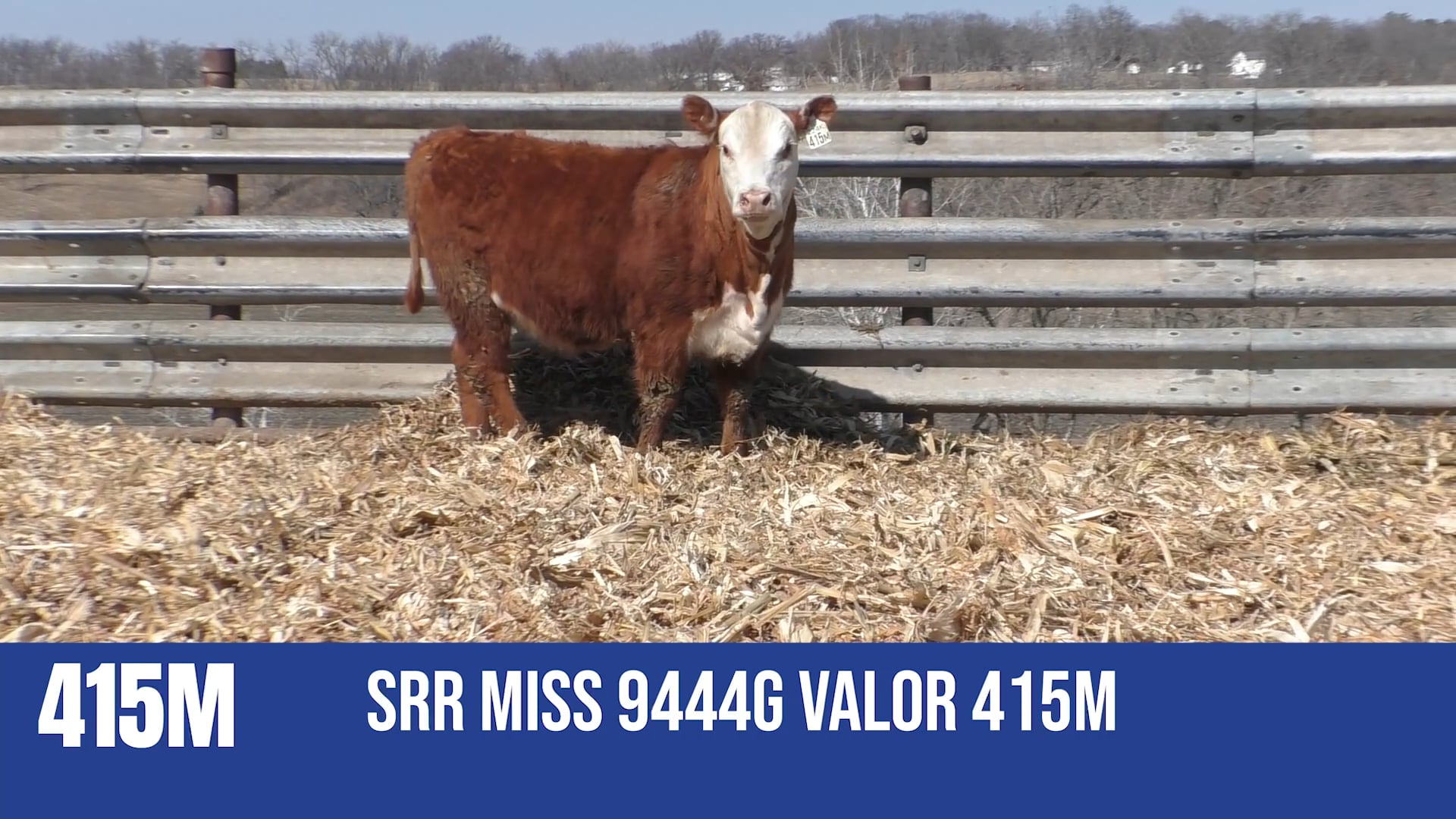415M   SRR MISS 9444G VALOR 415M