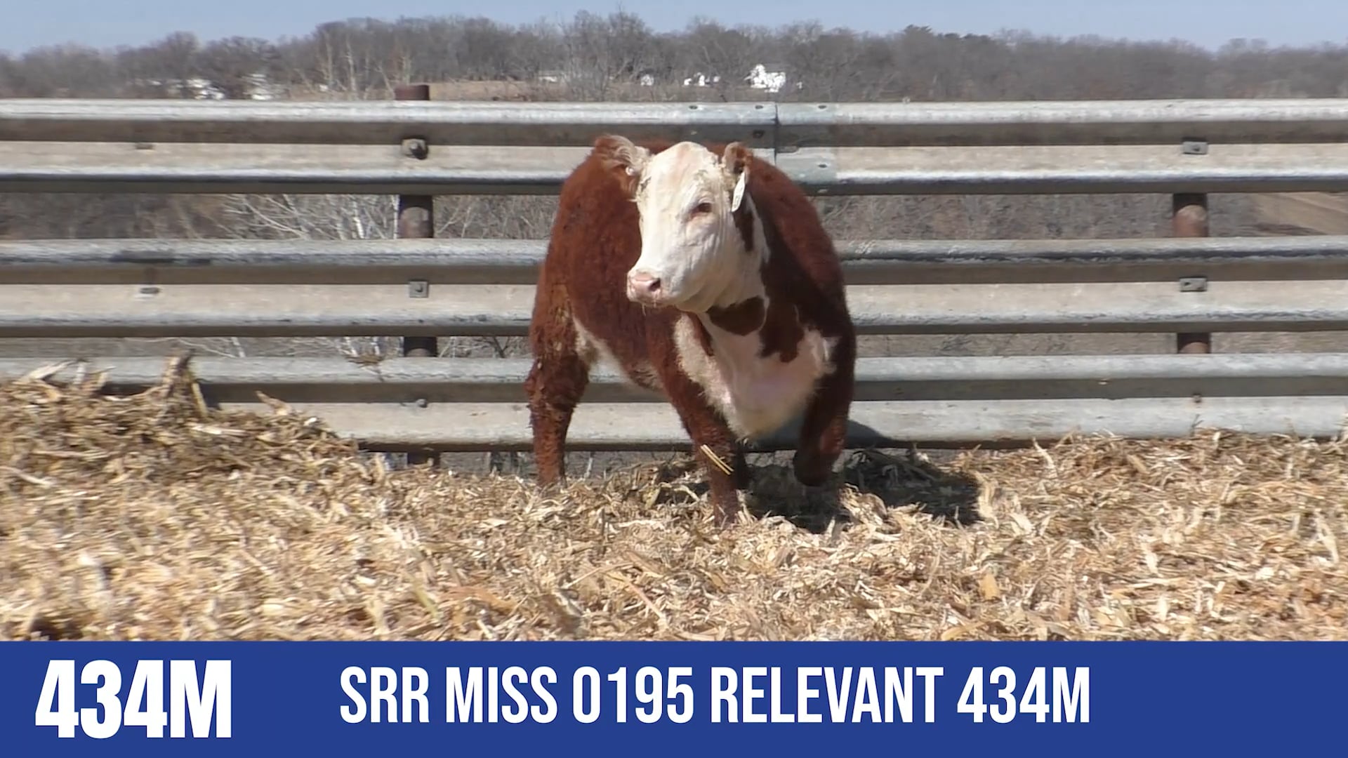434M  SRR MISS 0195 RELEVANT 434M
