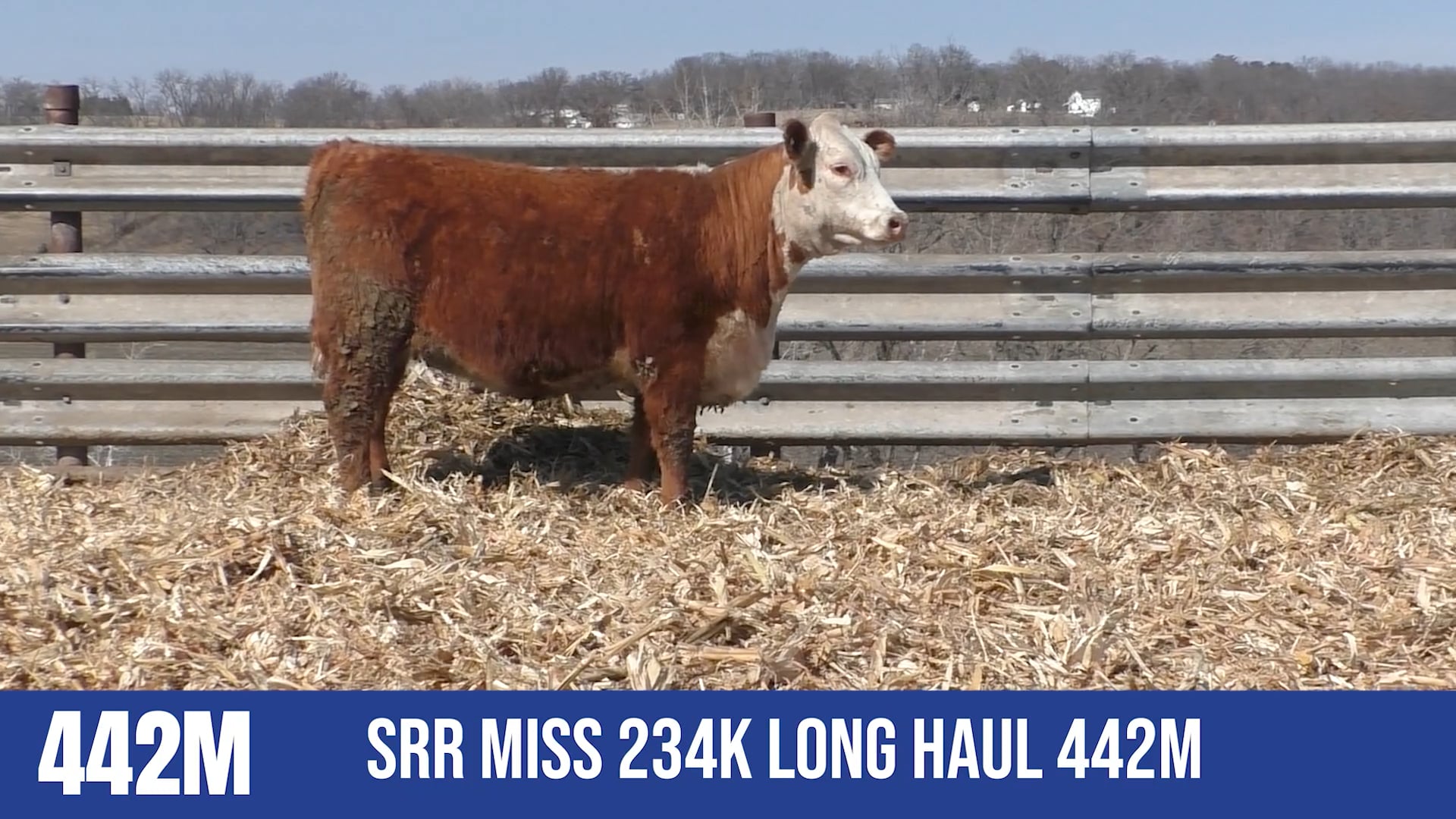 442M  SRR MISS 324K LONG HAUL 442M