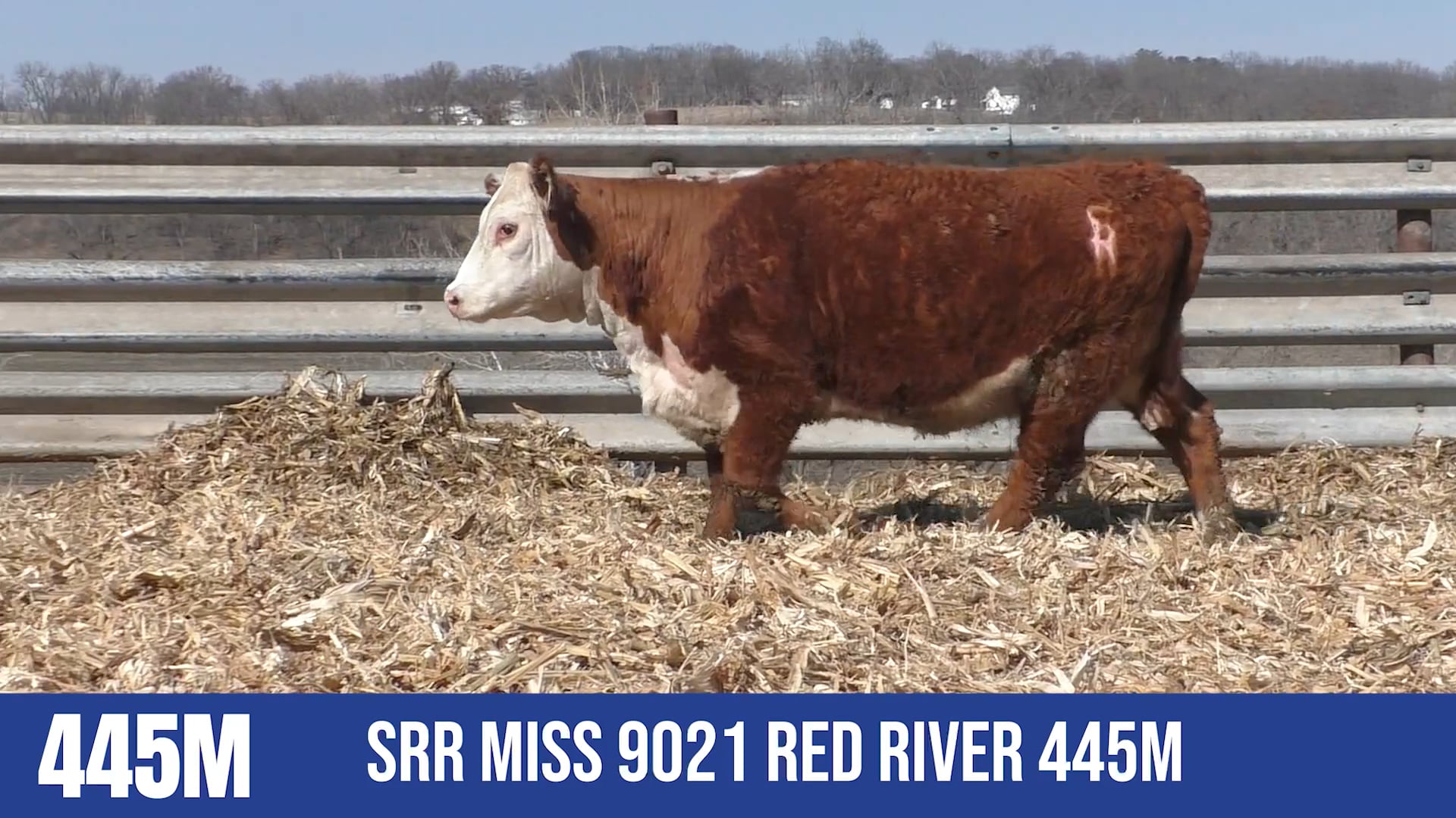 445M  SRR MISS 9021 RED RIVER 445M