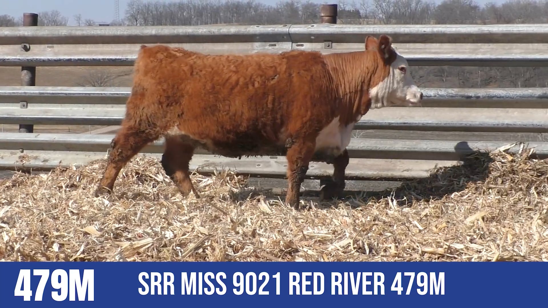 479M  SRR MISS 9021 RED RIVER 479M