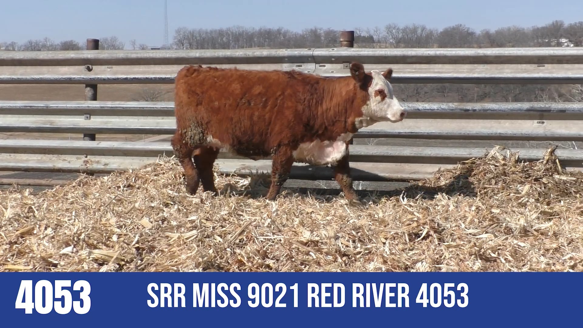 4053   SRR MISS 9021 RED RIVER 4053