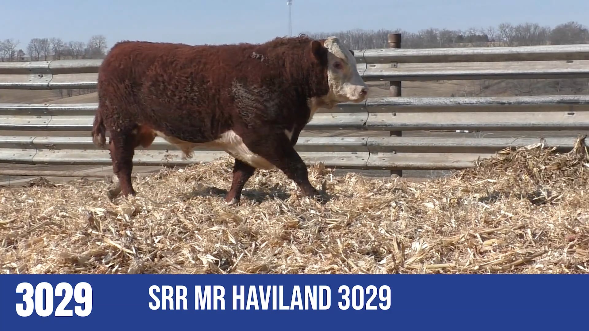 3029  SRR MR HAVILAND 3029
