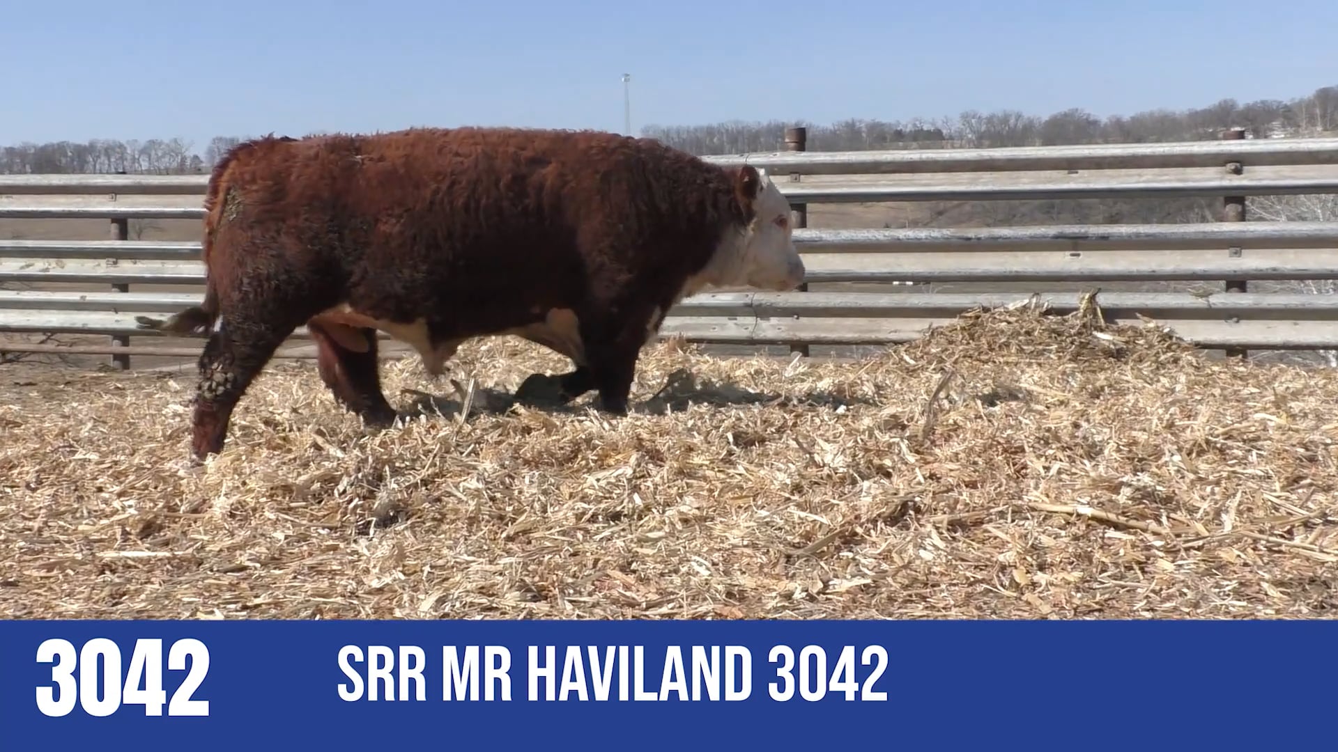 3042  SRR MR HAVILAND 3042