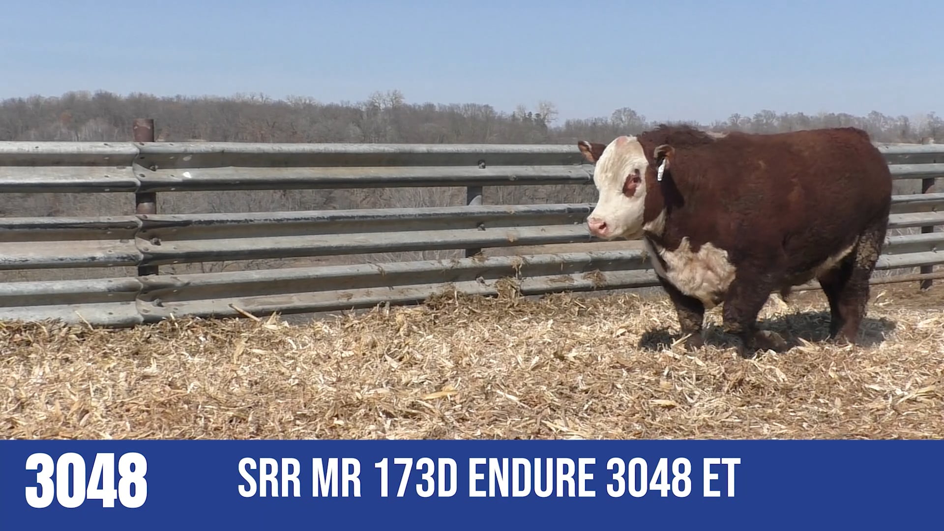 3048  SRR MR 173D ENDURE 3048 ET