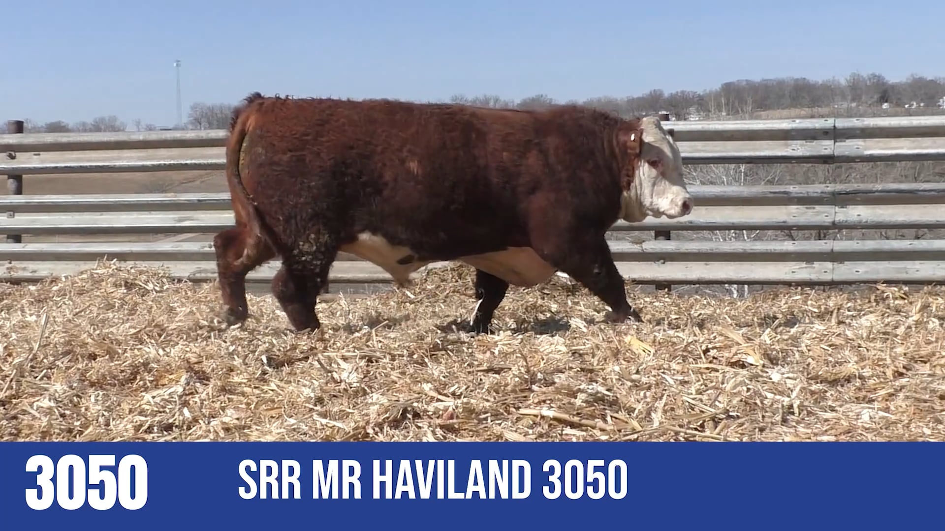 3050 SRR MR HAVILAND 3050
