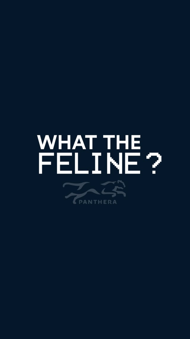 Panthera_Social_WtF_BumperVertical_v02