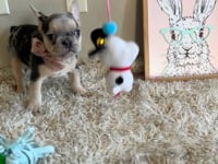 Watch me play!