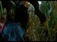 Botanica (2017)