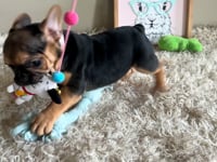 Watch me play!