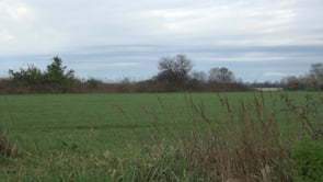 L'ACA augmentarà el control dels aqüífers de l'Empordà