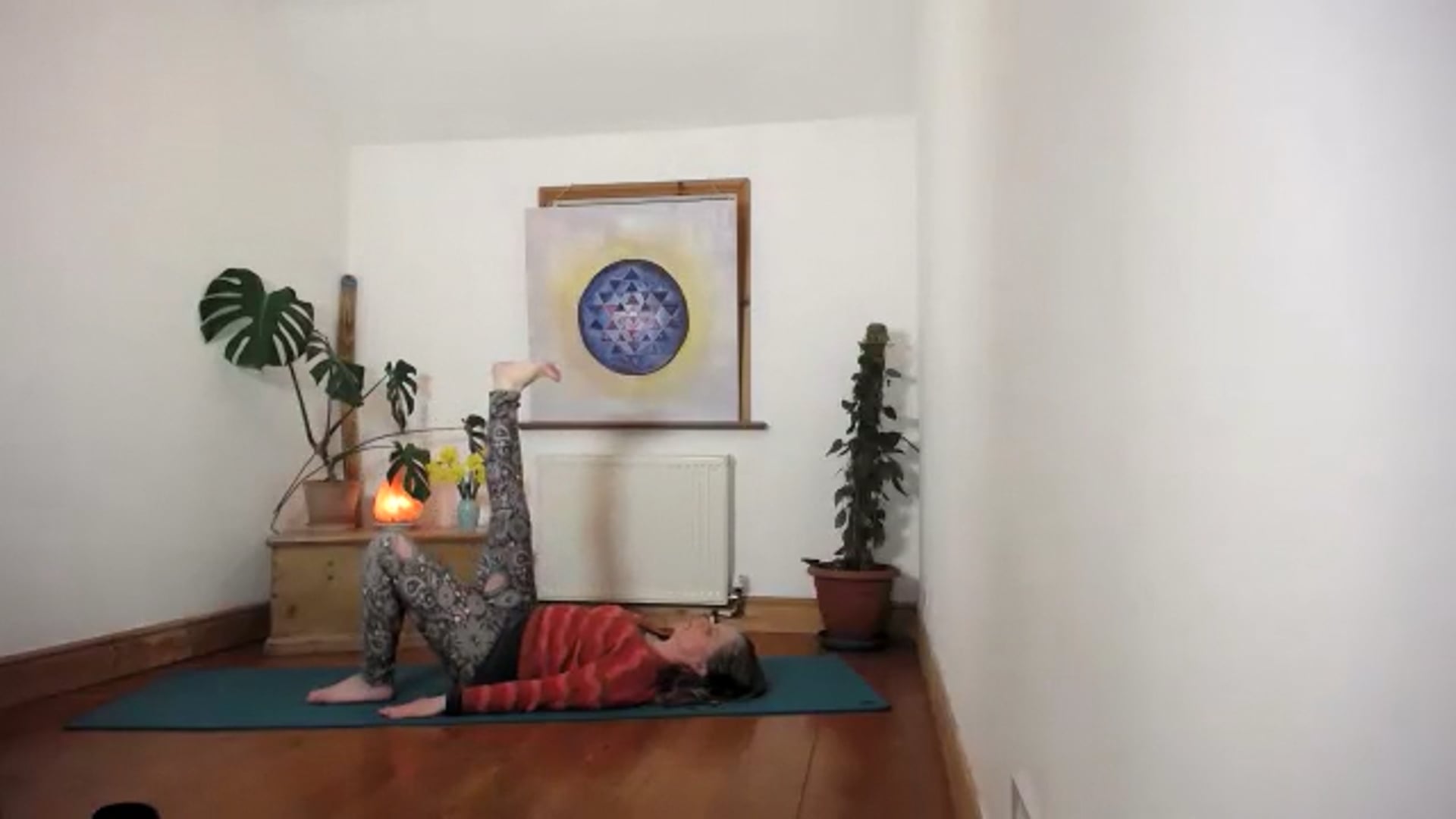 Multilevel wk3 Vital Energy.