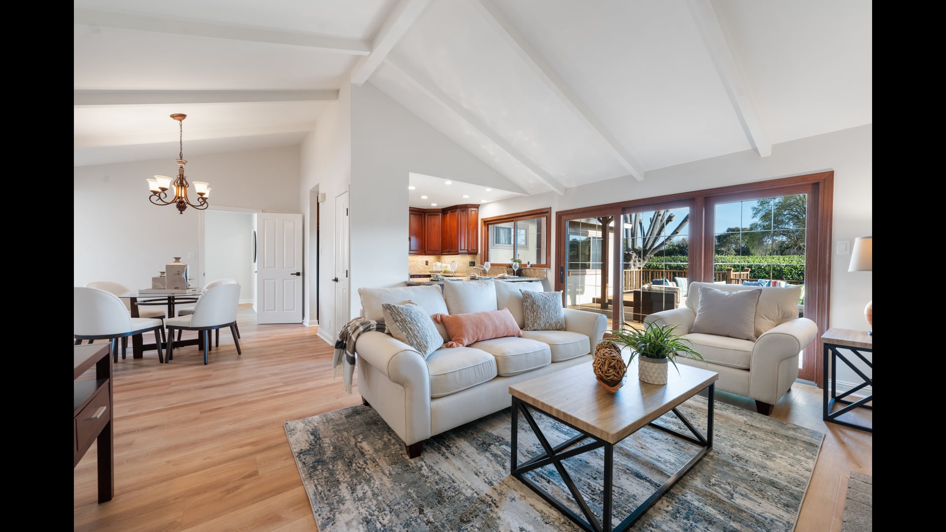 Kelly Mckaig Montpelier