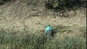 S'ha començat a desbrossar el Rec de Molí