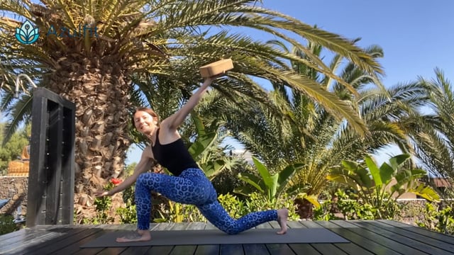NEW! Yoga Block Party - Strong, Stable, Mobile