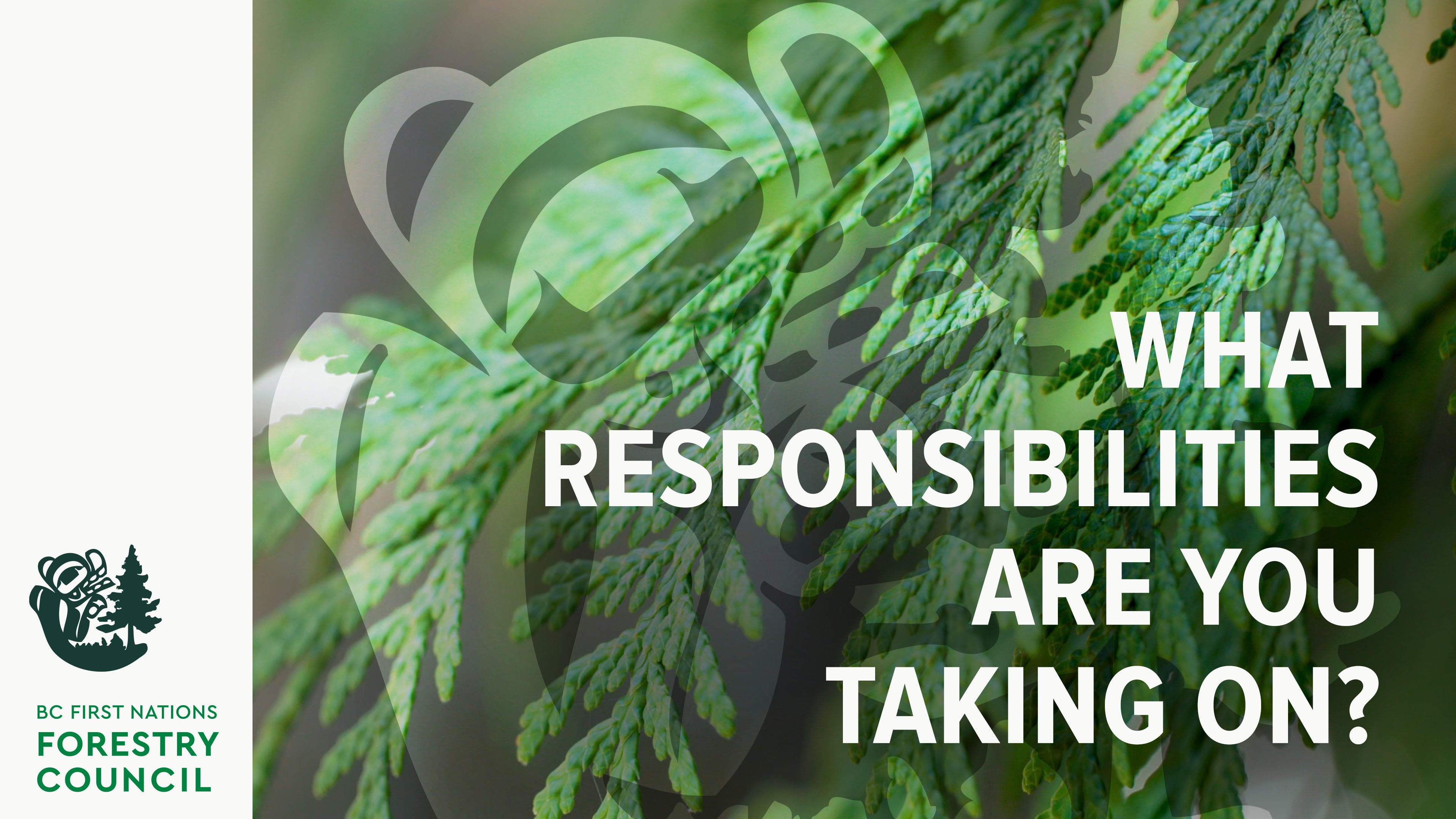 Responsibility