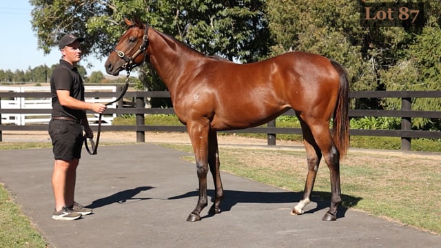 Lot 87