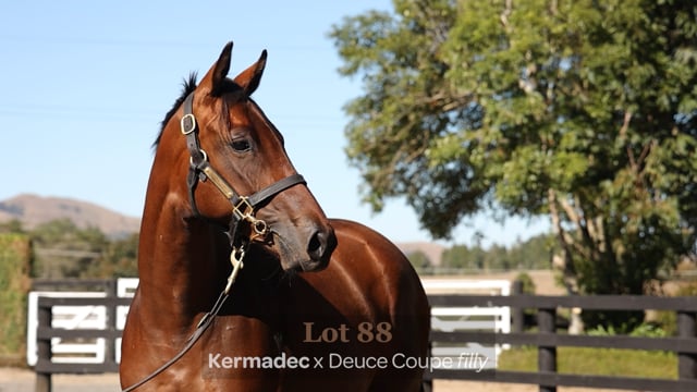 Lot 88