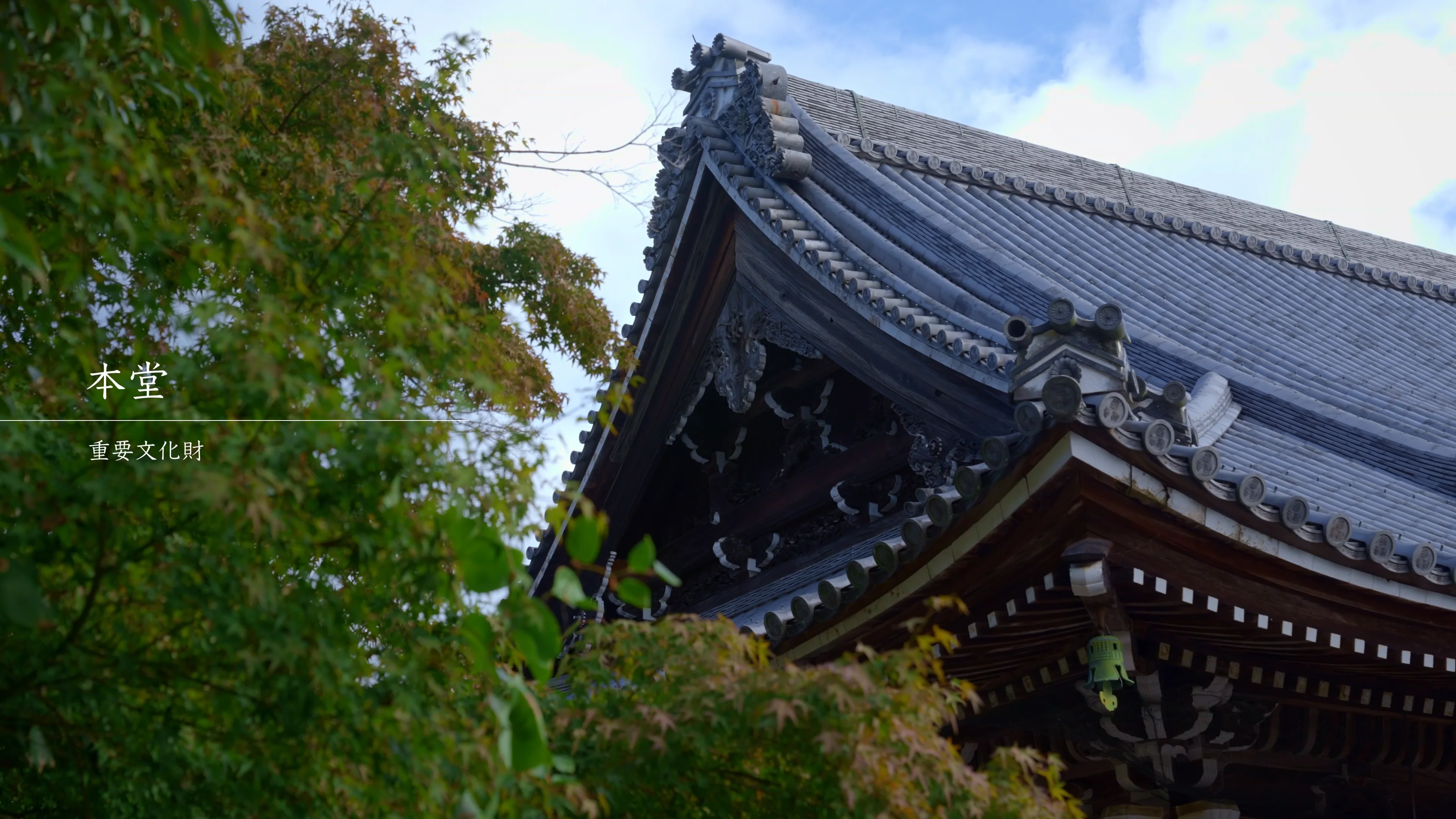 本堂 | 文化遺産 | 西教寺文化遺産ガイド