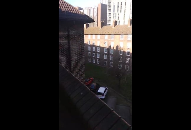 Video 1: 