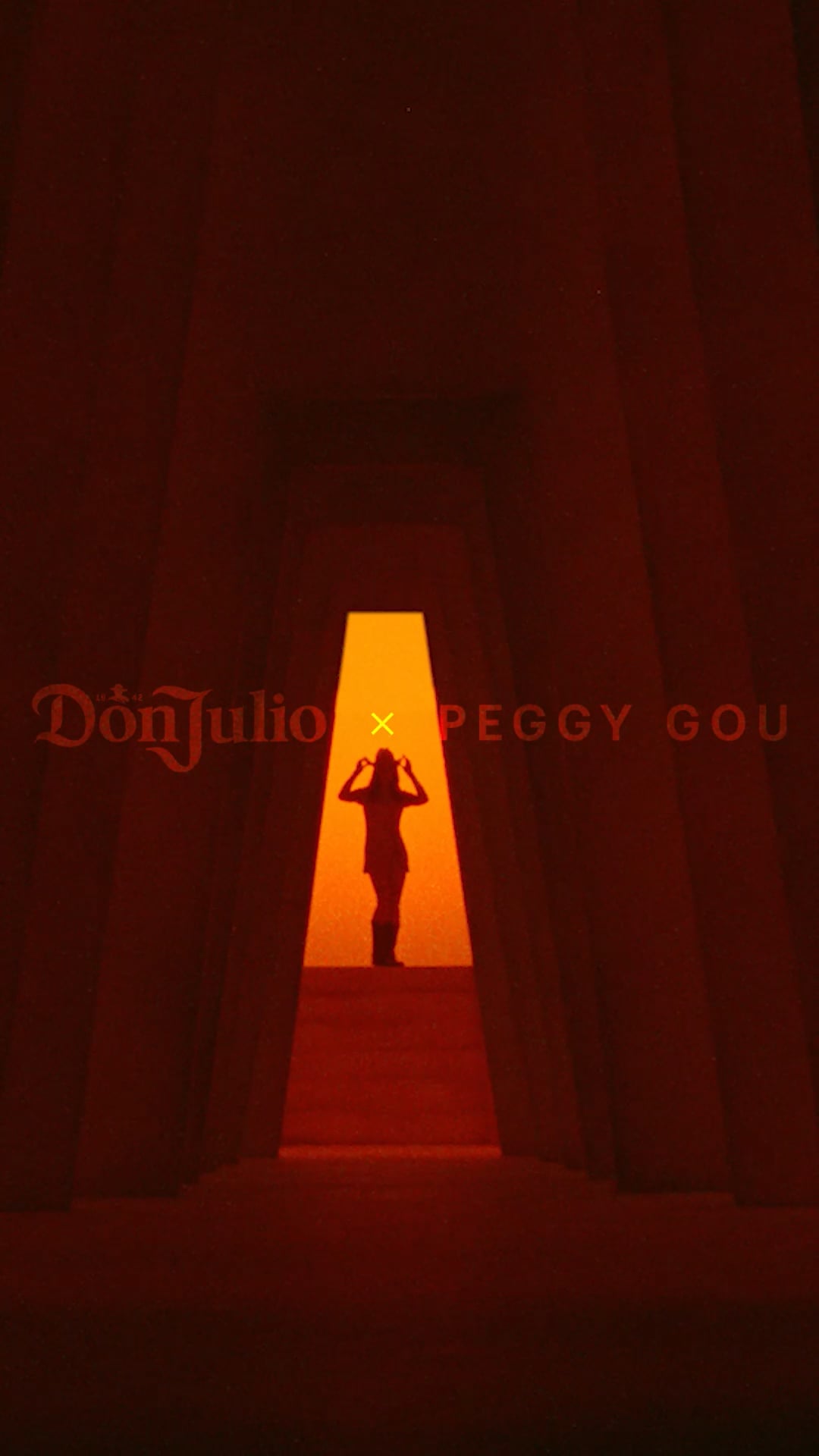 Don Julio x Peggy Gou | 194구 Limited Edition Tequila Bottle | Don