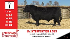 Lot #1 - LL INTERVENTION Z 393