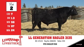 Lot #2 - LL GENERATION HAGLER 3135