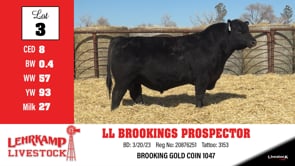 Lot #3 - LL BROOKINGS PROSPECTOR