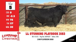 Lot #5 - LL STUNNING PLAYBOOK 3183