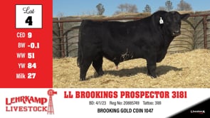 Lot #4 - LL BROOKINGS PROSPECTOR 3181