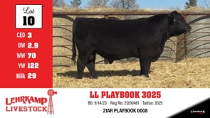 Lot #10 - LL PLAYBOOK 3025