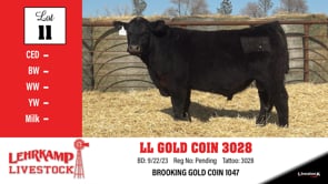 Lot #11 - LL GOLD COIN 3028