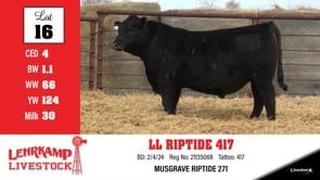 Lot #16 - LL RIPTIDE 417