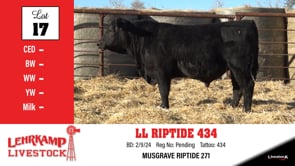 Lot #17 - LL RIPTIDE 434