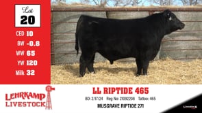 Lot #20 - LL RIPTIDE 465