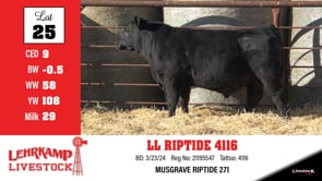 Lot #25 - LL RIPTIDE 4116