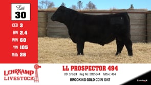 Lot #30 - LL PROSPECTOR 494