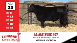 Lot #32 - LL ALTITUDE 407