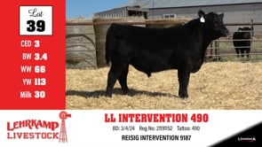 Lot #39 - LL INTERVENTION 490
