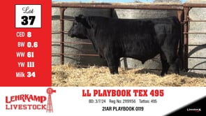 Lot #37 - LL PLAYBOOK TEX 495