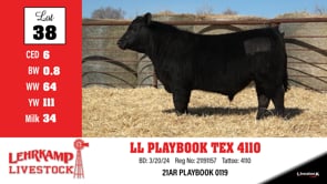 Lot #38 - LL PLAYBOOK TEX 4110