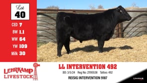 Lot #40 - LL INTERVENTION 492