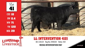 Lot #41 - LL INTERVENTION 4121