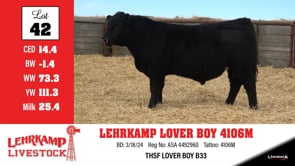 Lot #42 - LEHRKAMP LOVER BOY 4106M