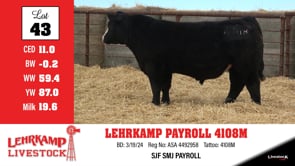 Lot #43 - LEHRKAMP PAYROLL 4108M